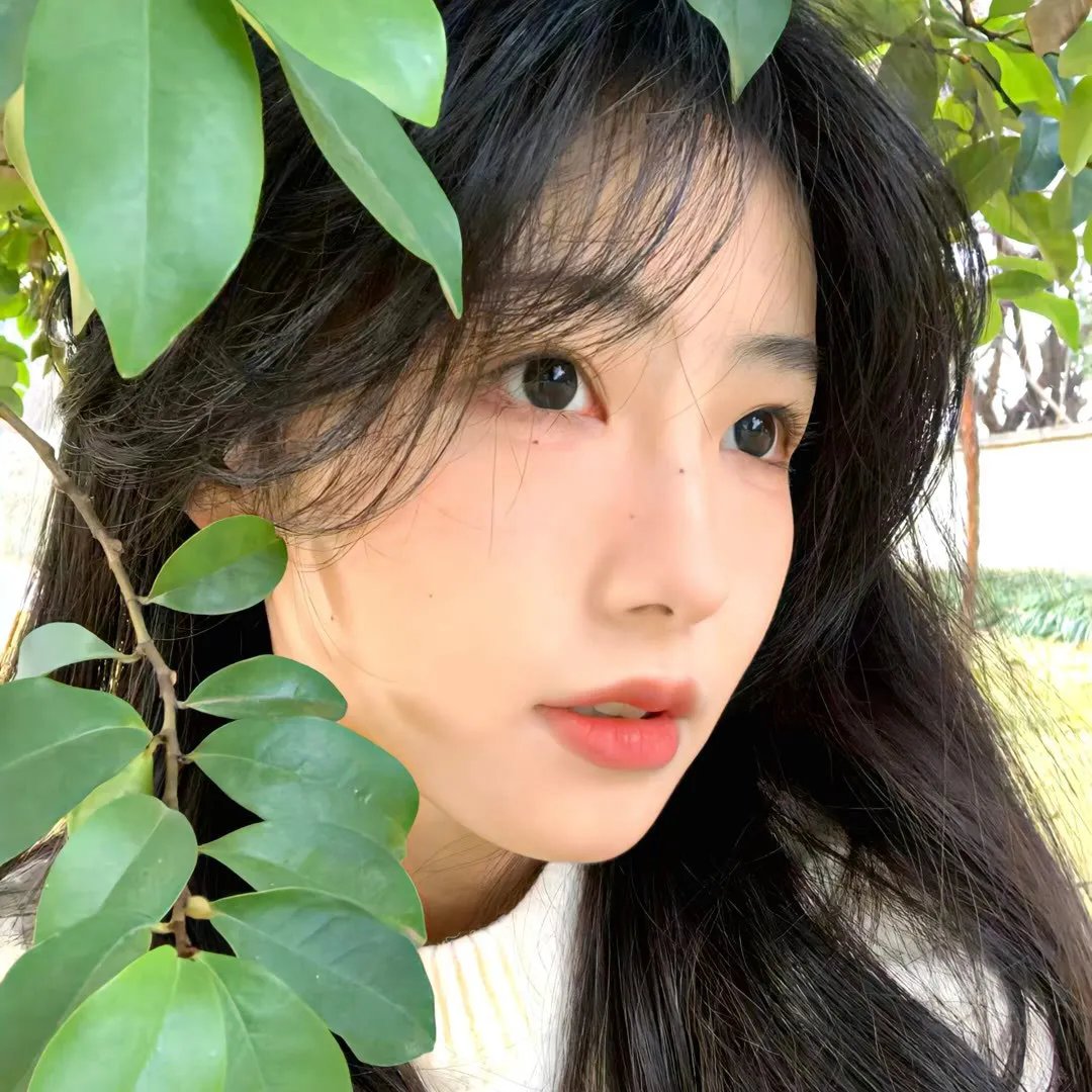 睡觉的笨蛋